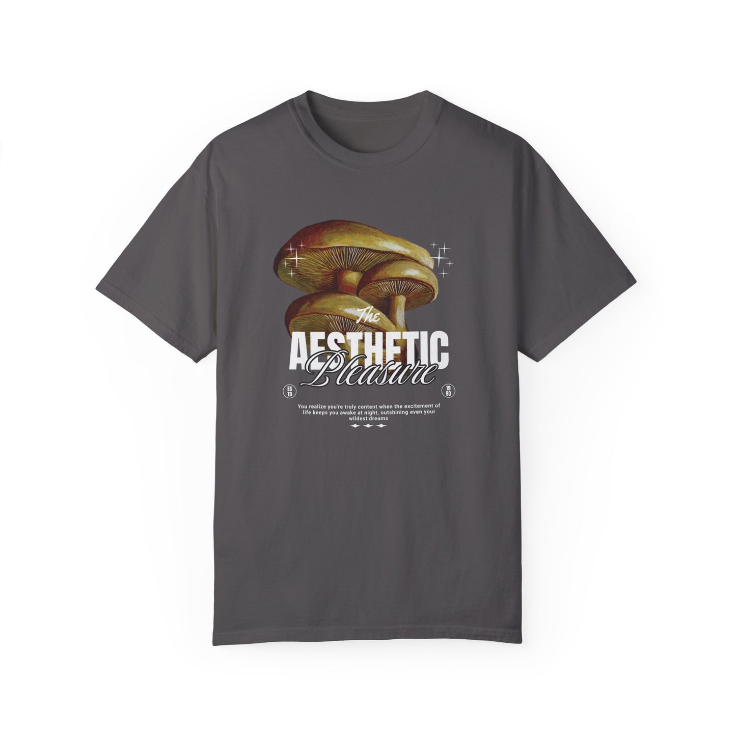 Aesthetic Pleasure Comfort Colors T-shirt - Deki's Variety Store