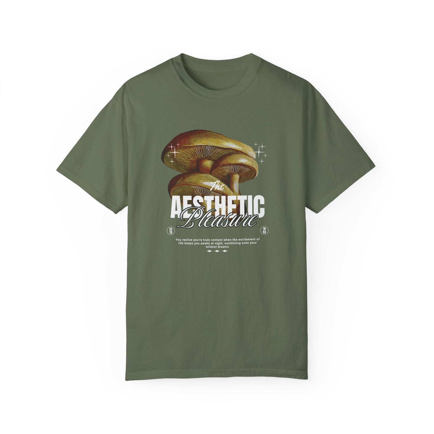 Aesthetic Pleasure Comfort Colors T-shirt - Deki's Variety Store