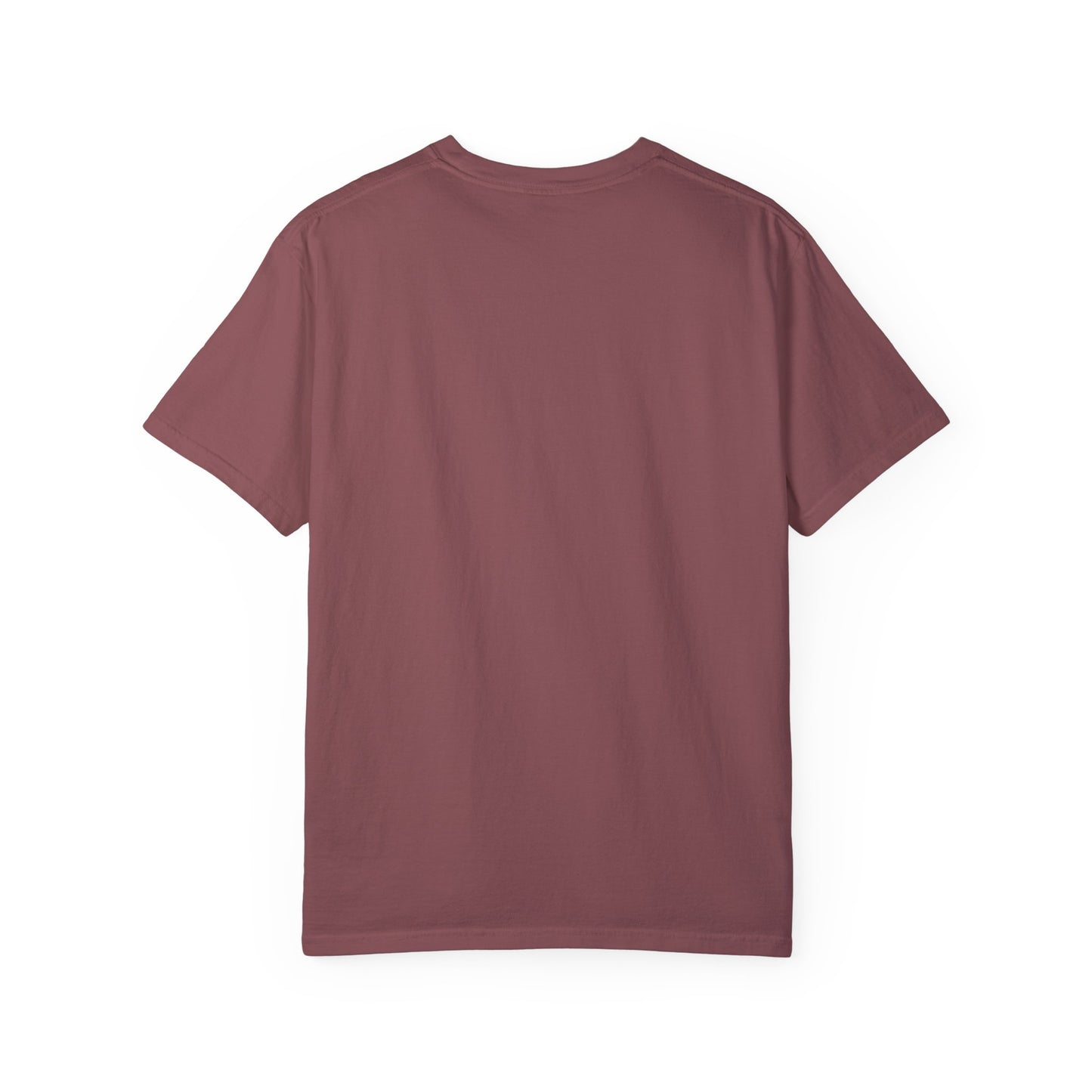 Penny for Your Thoughts t-shirt - Comfort Colors Garment-Dyed T-shirt - Deki's Variety Store