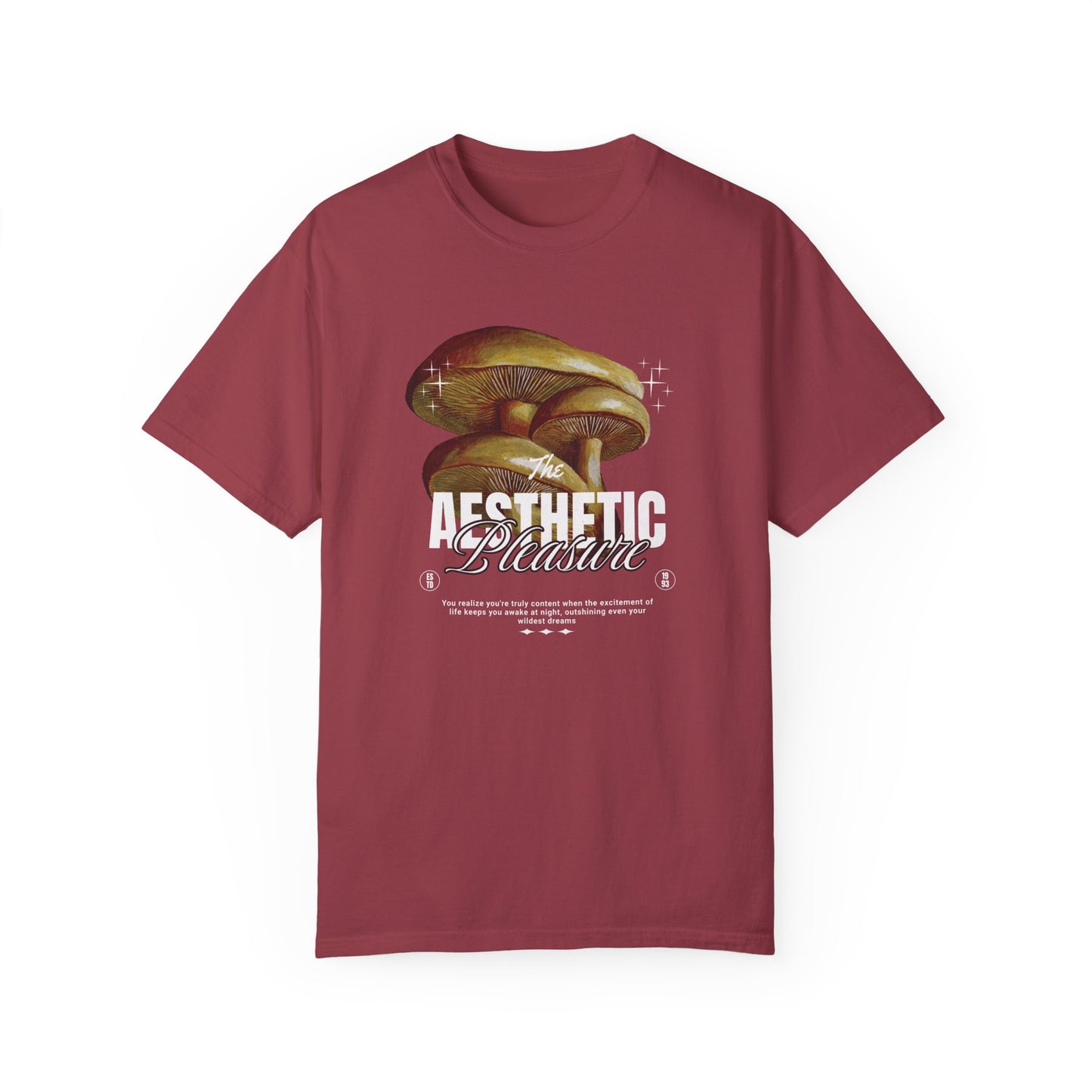 Aesthetic Pleasure Comfort Colors T-shirt - Deki's Variety Store