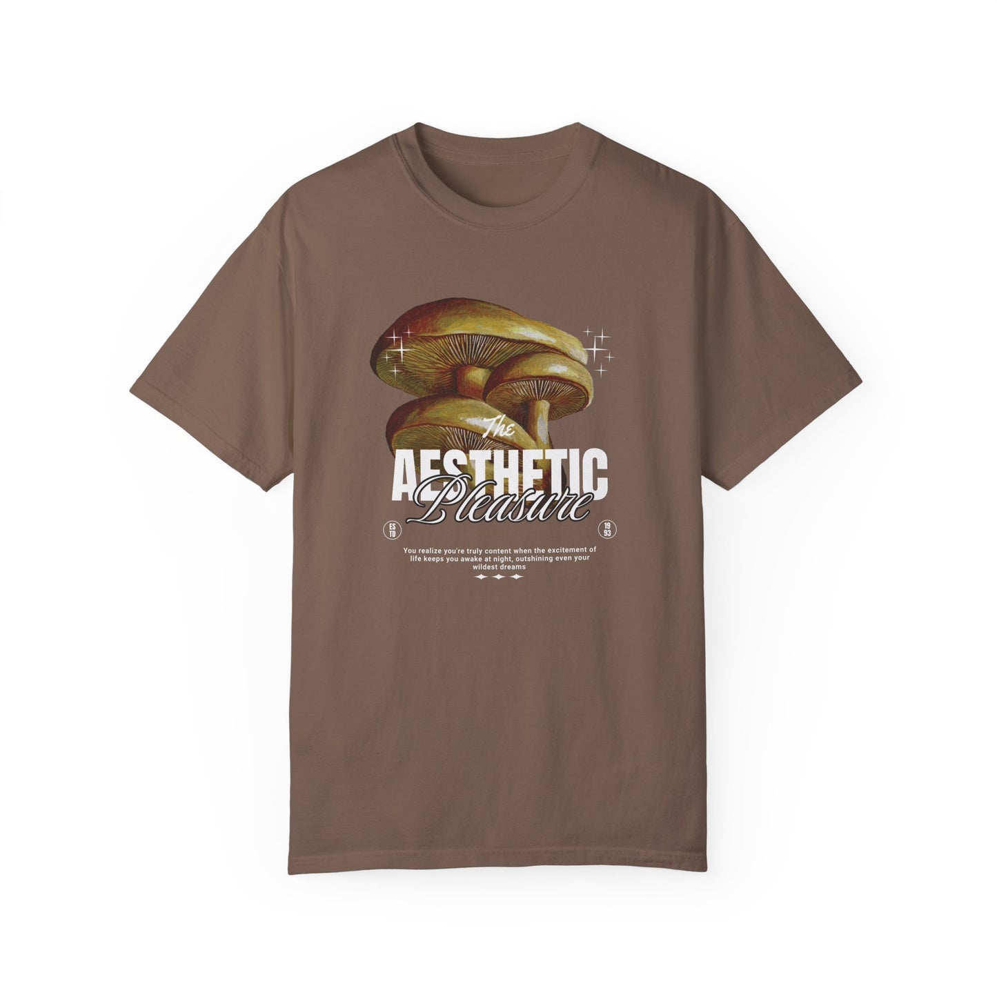 Aesthetic Pleasure Comfort Colors T-shirt - Deki's Variety Store