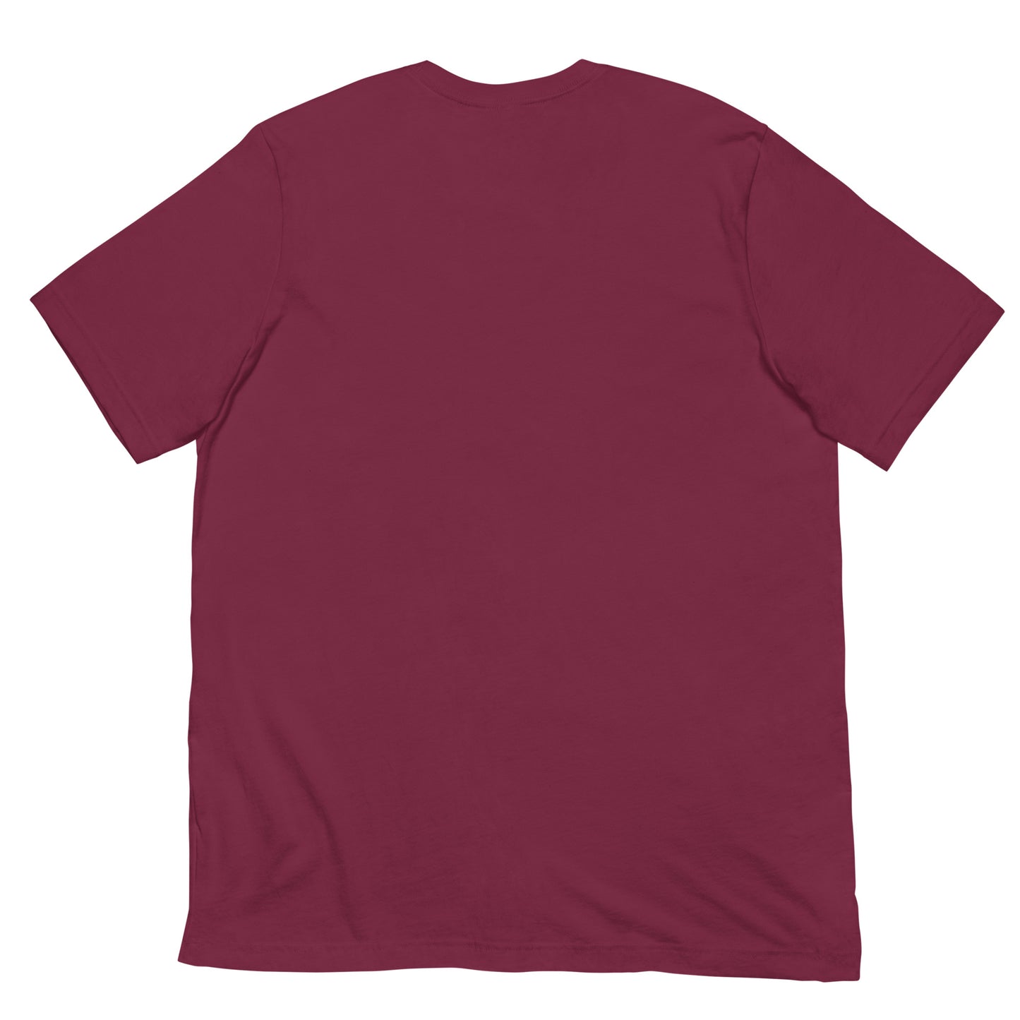 Endurance T-Shirt: "The Race is Not for the Swift" - Deki's Variety Store