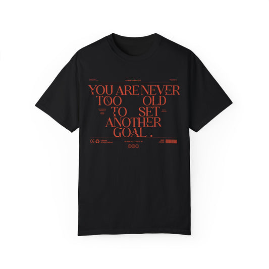 Comfort Colors T-shirt: "Never Too Old" Inspirational Tee - Deki's Variety Store