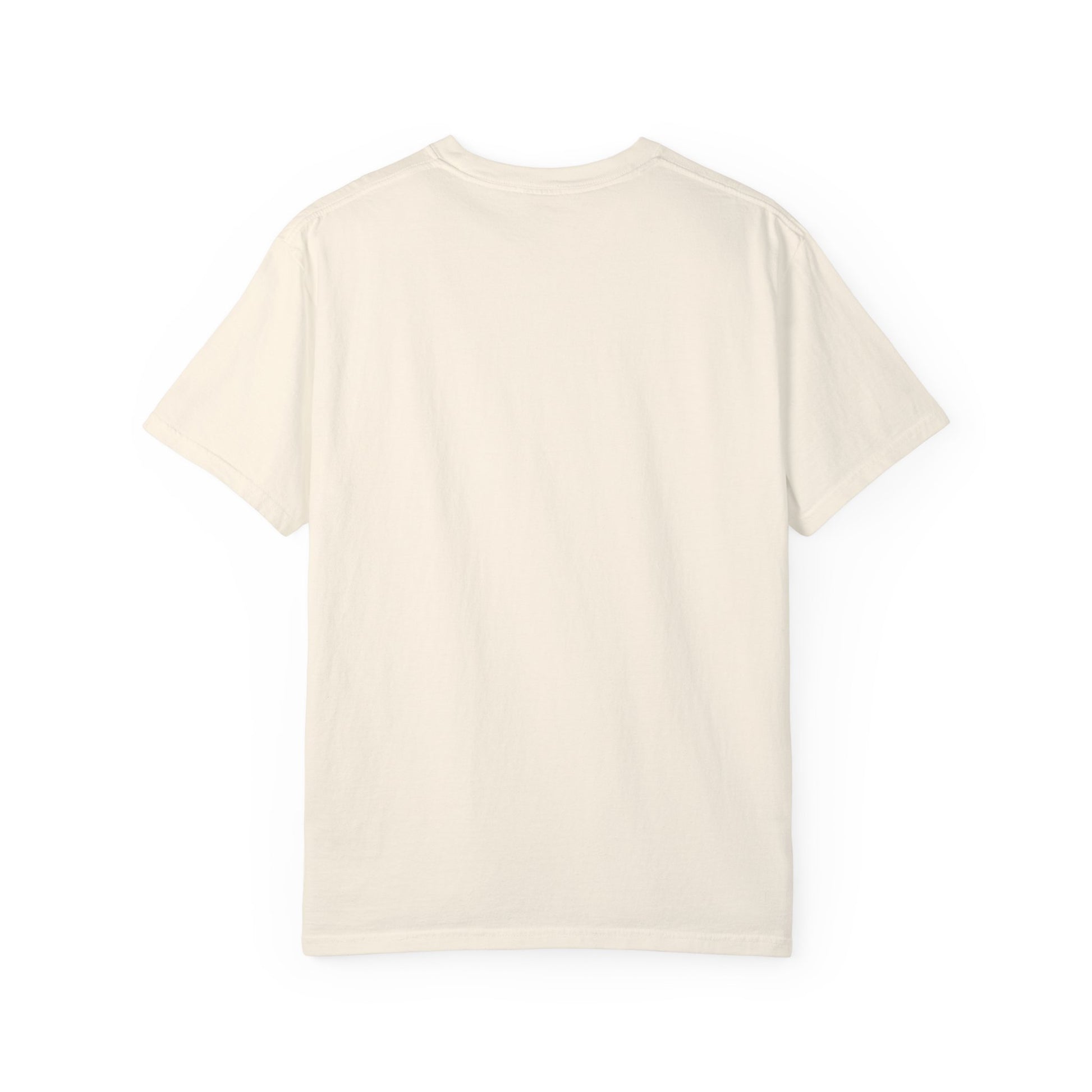 Penny for Your Thoughts t-shirt - Comfort Colors Garment-Dyed T-shirt - Deki's Variety Store