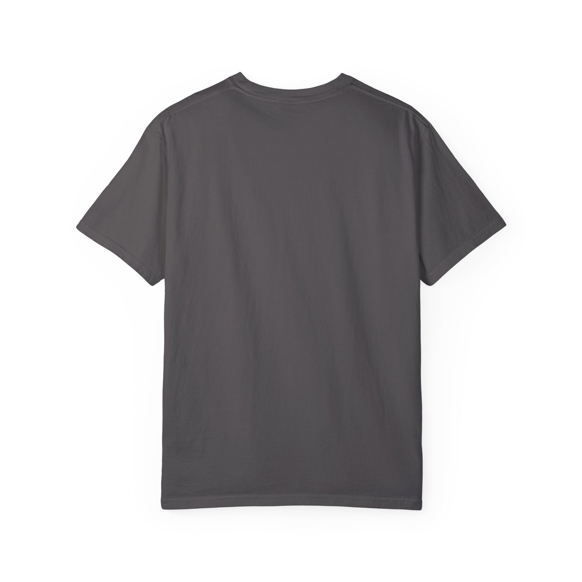 Penny for Your Thoughts t-shirt - Comfort Colors Garment-Dyed T-shirt - Deki's Variety Store