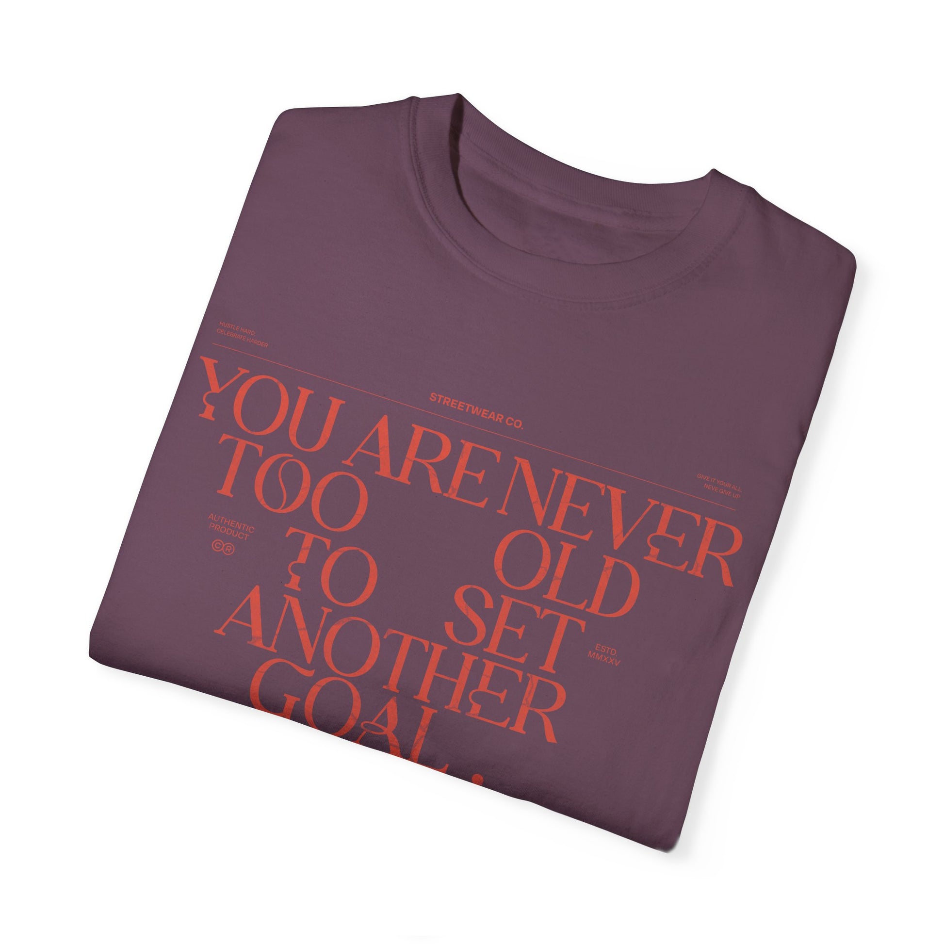 Comfort Colors T-shirt: "Never Too Old" Inspirational Tee - Deki's Variety Store