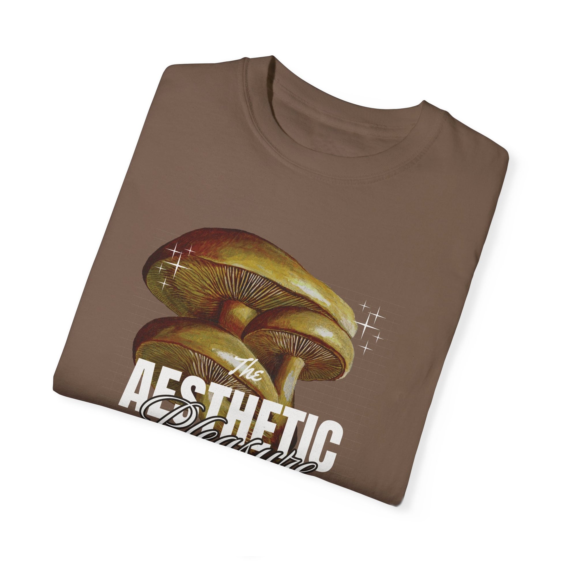 Aesthetic Pleasure Comfort Colors T-shirt - Deki's Variety Store