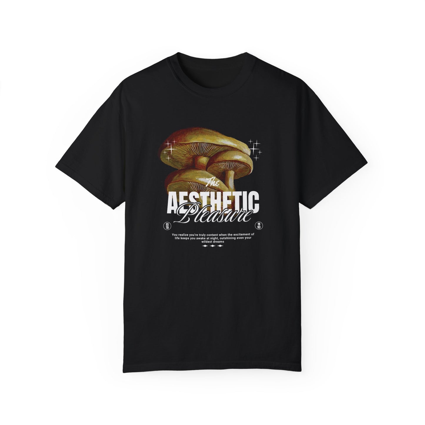 Aesthetic Pleasure Comfort Colors T-shirt - Deki's Variety Store