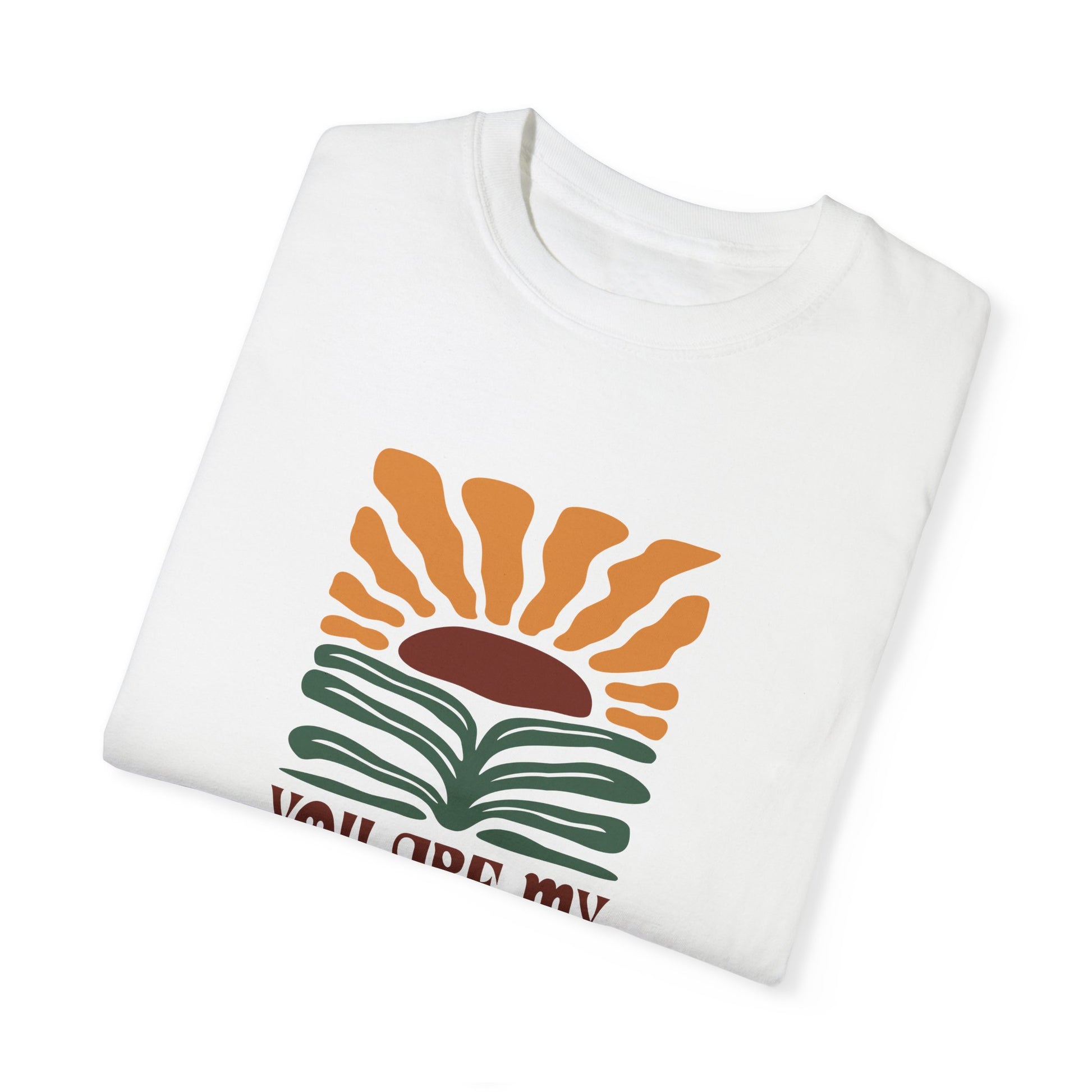 You Are My Sunshine Comfort Colors T-shirt - Deki's Variety Store