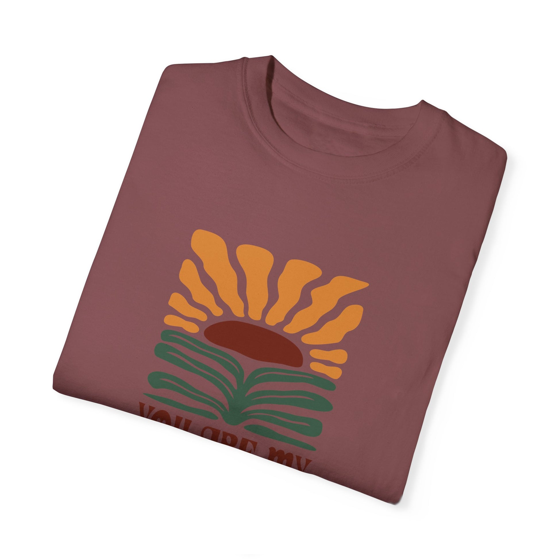 You Are My Sunshine Comfort Colors T-shirt - Deki's Variety Store