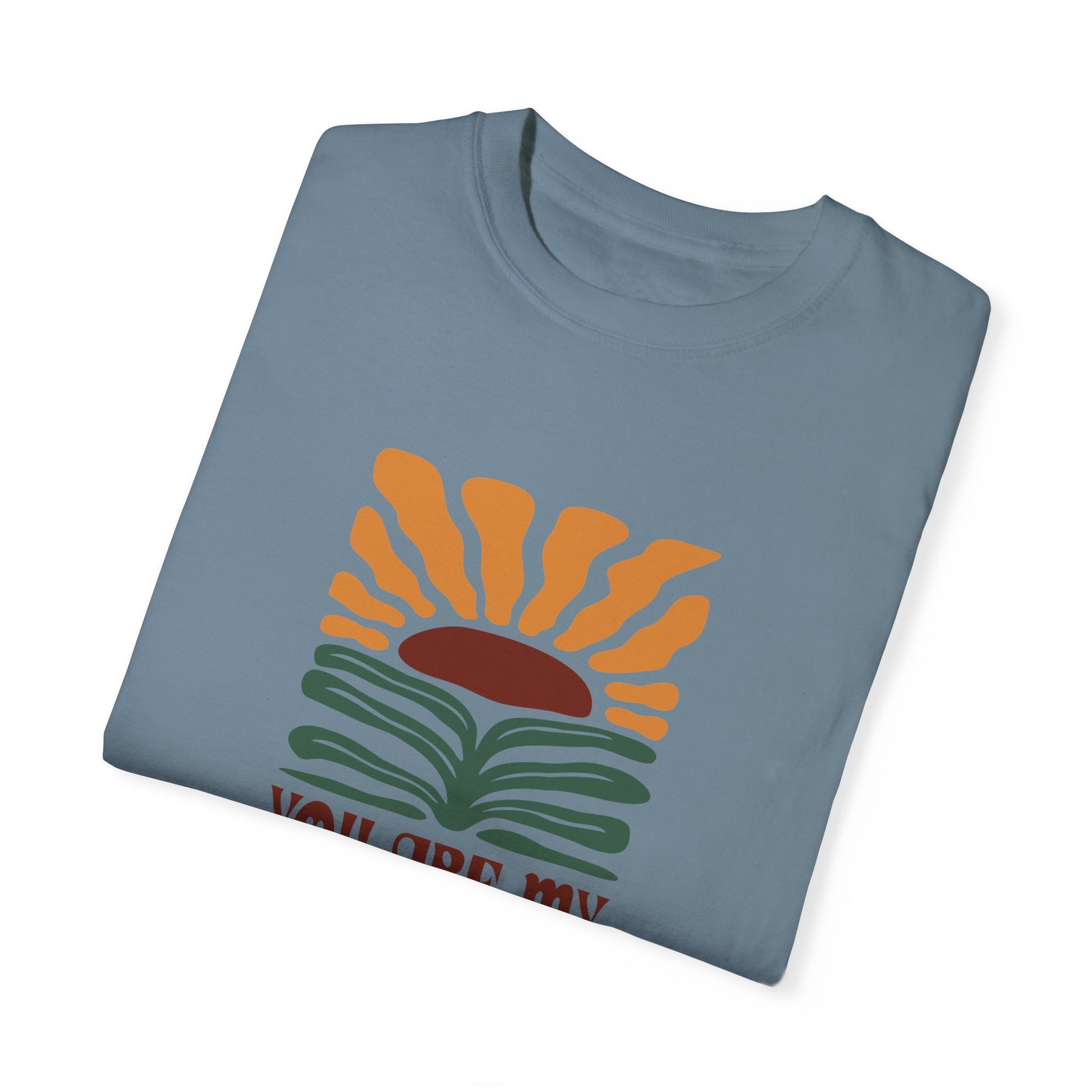 You Are My Sunshine Comfort Colors T-shirt - Deki's Variety Store