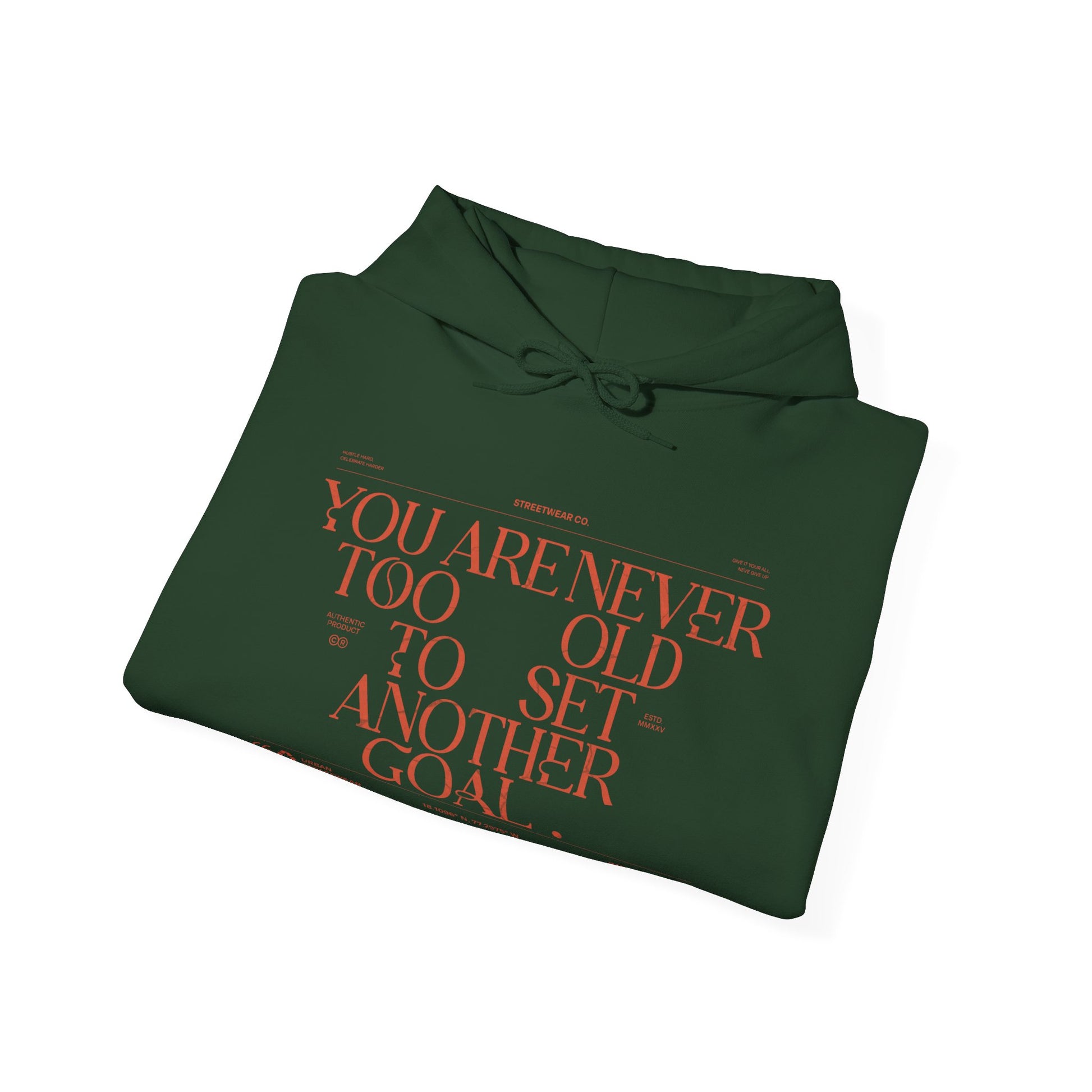 Never Too Old Inspirational Heavy Blend™ Hooded Sweatshirt - Deki's Variety Store